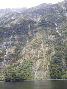 Milford Sound-Wasserfälle wie Kletterseile
