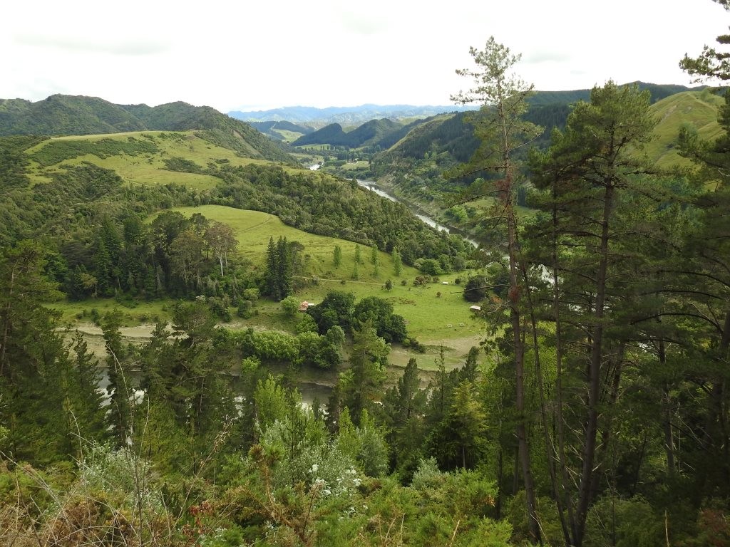 Wanganui River Road