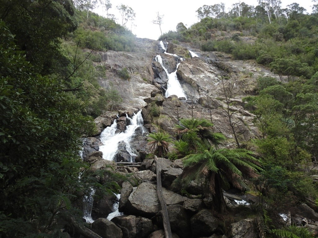 Columba Falls 